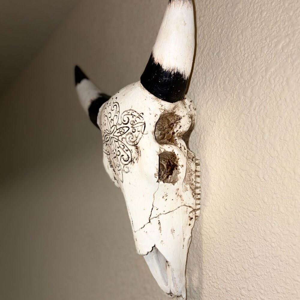 Faux Longhorn Steer Skull Wall Decor Western Farmhouse Wall Mount - Picture 3 of 6